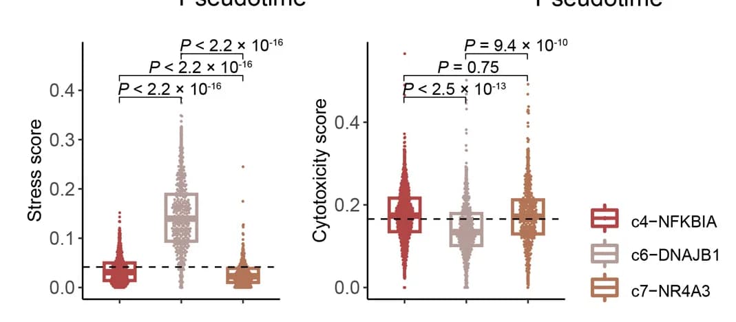 Open access visualization of Violin Plot, Box Plot, Boxplots, Signature Scores, CD56dimCD16hic4-NFKBIA Cells