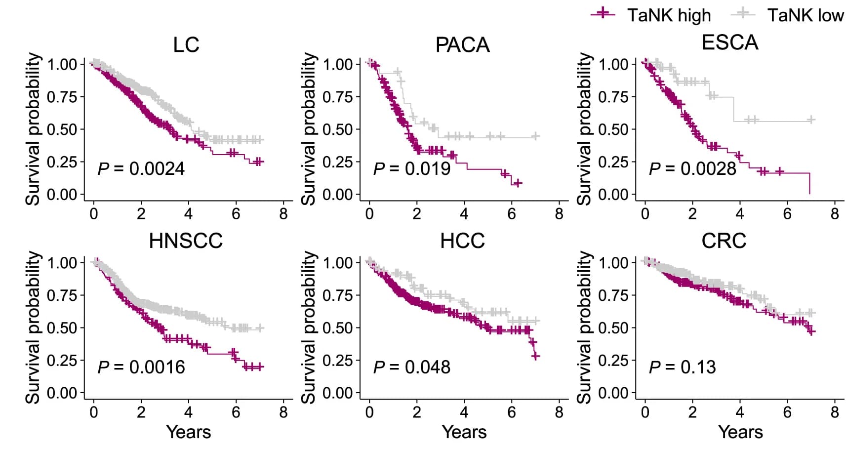 Open access visualization of Survival Curve, Kaplan-Meier Plots, TaNK Cells, Tumors, Prognosis