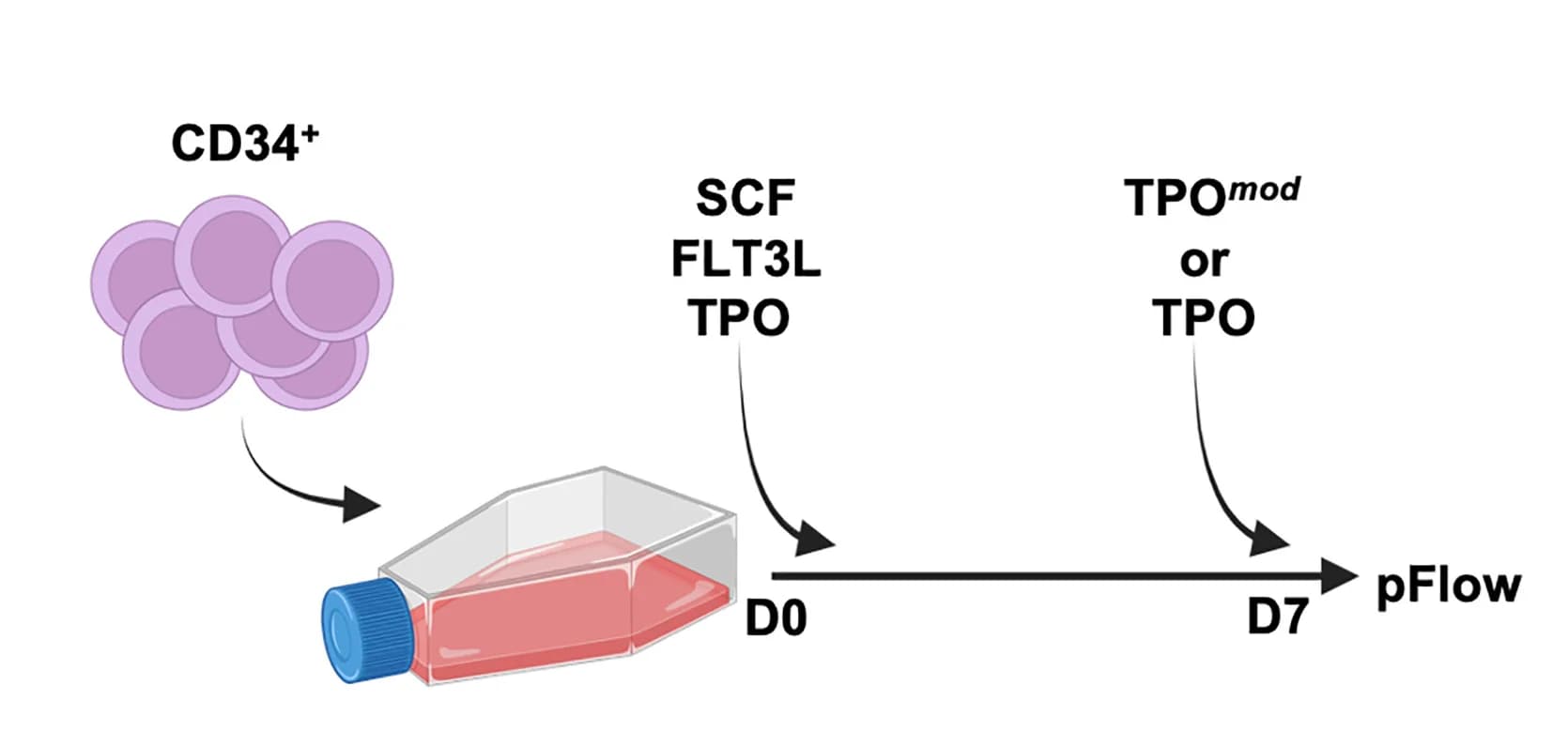 Open access visualization of Workflow, Flowchart, Illustration, Schematic, In Vitro Method