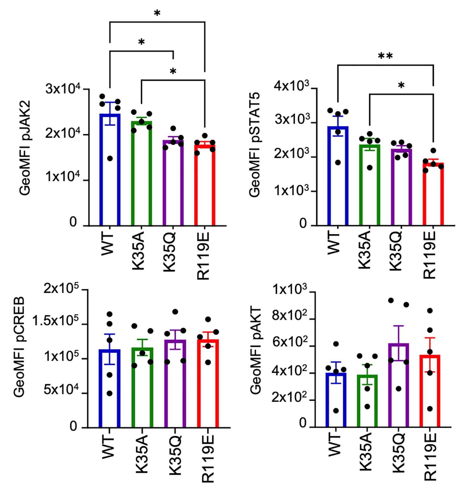 Open access visualization of Bar Plot, Error Bars, Scatter Plot, Intracellular Signaling, EPCR+ HSCs