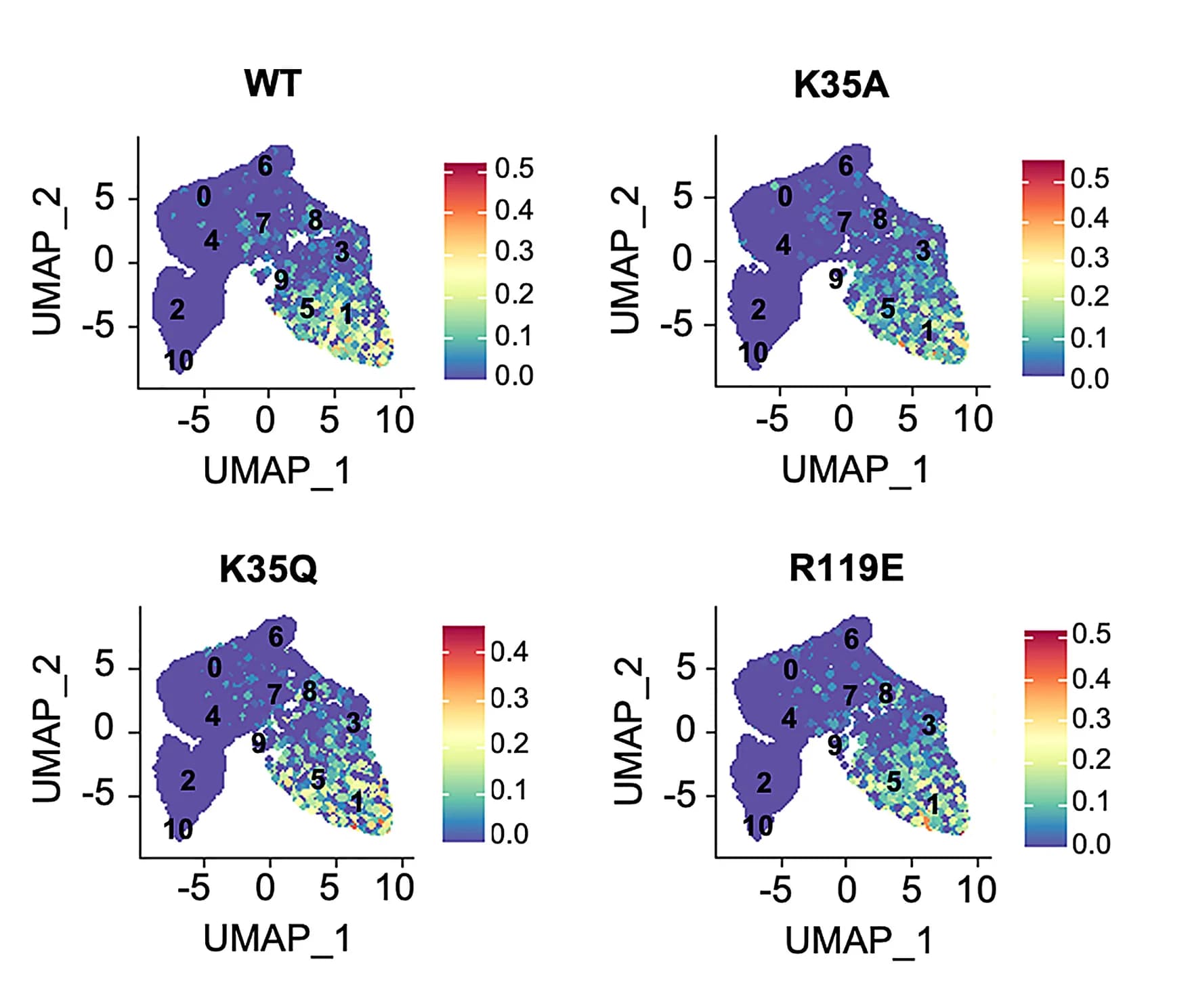 Open access visualization of UMAP, Dimensionality Reduction, scRNA Sequences, CD34+CD45RA− Cells, Cell Expansion