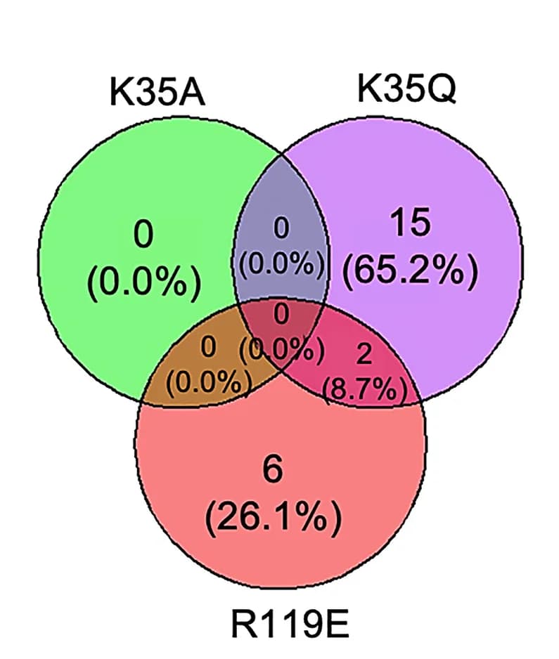 Open access visualization of Venn Diagram, Venn Overlap, Differentially Expressed Genes, WT TPO, TPOmod