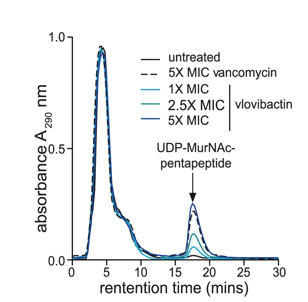 Open access visualization of Line Plot, Intracellular Accumulation, Cell Wall Precursor, UDP-MurNAc-pp, S. Aureus