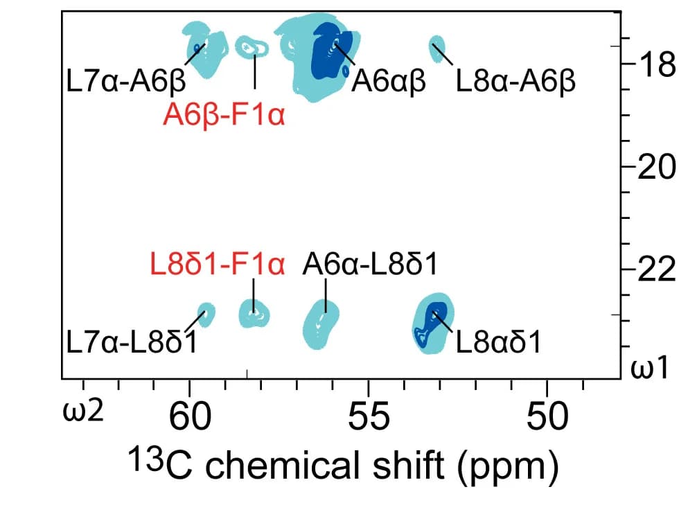 Open access visualization of Scatter Plot, 2D CC Spectrum, Head-to-tail contacts, Clovibactin, Dimeric arrangement