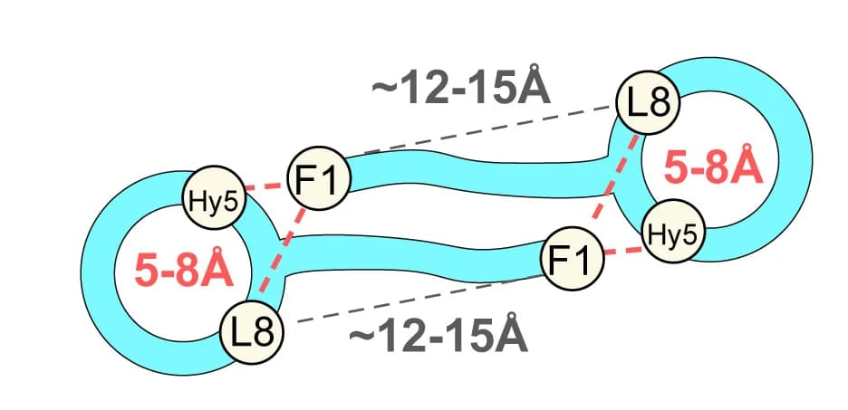 Open access visualization of Illustration, Chemical Structure, Head-to-tail contacts, Phe1-Hyn5, Phe1-Leu8