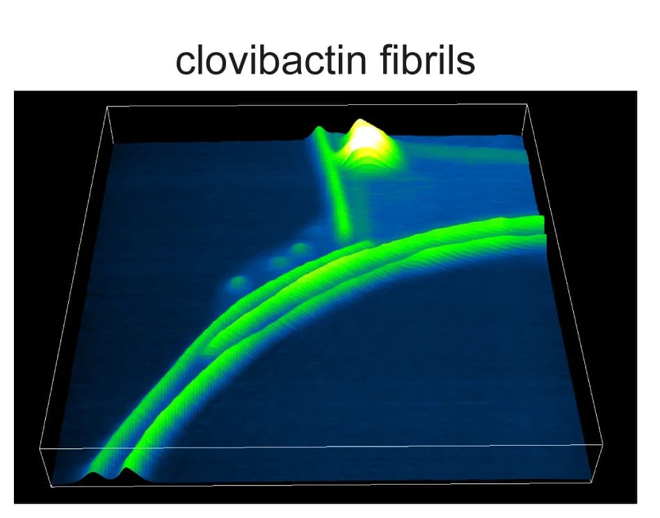 Open access visualization of 3D Plot, 3D rendered HS-AFM image, Clovibactin, Lipid II, Supramolecular fibrils