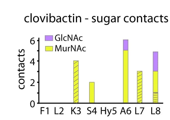 Open access visualization of Stacked Bar Plot, Interfacial Contacts, Clovibactin, Lipid II Sugars, MurNAc