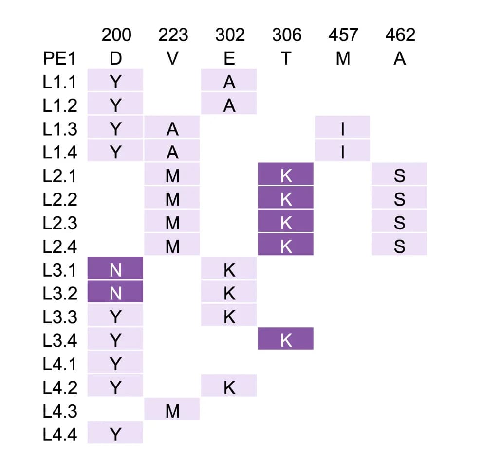 Open access visualization of Table Image, Mutation Table, Phage, PANCE, Clones