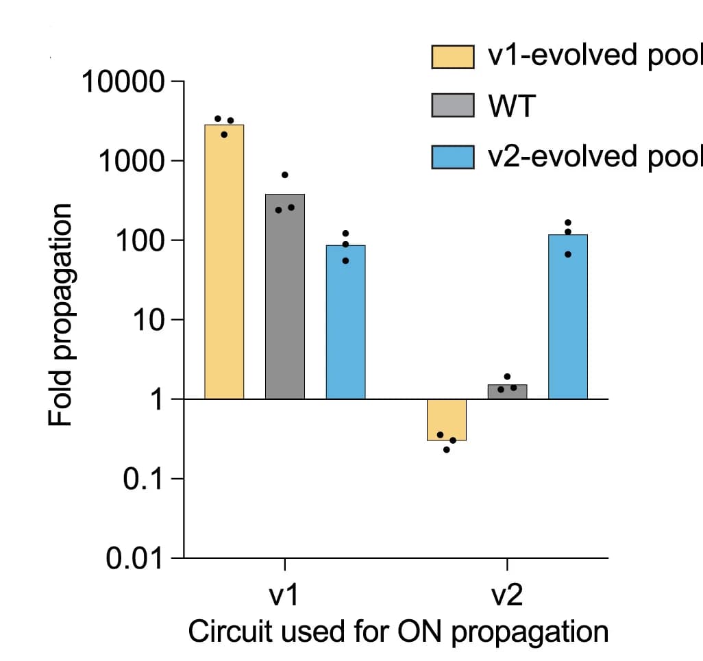 Open access visualization of Bar Plot, Error Bars, Clustered, Propagation, Wild-Type RT