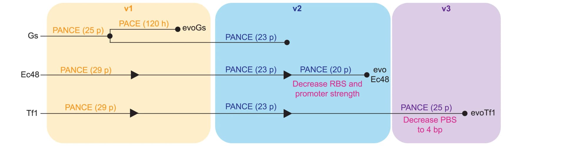 Open access visualization of Flowchart, Evolution campaigns, NpuC-Gs RT, NpuC-Ec48 RT, NpuC-Tf1 RT
