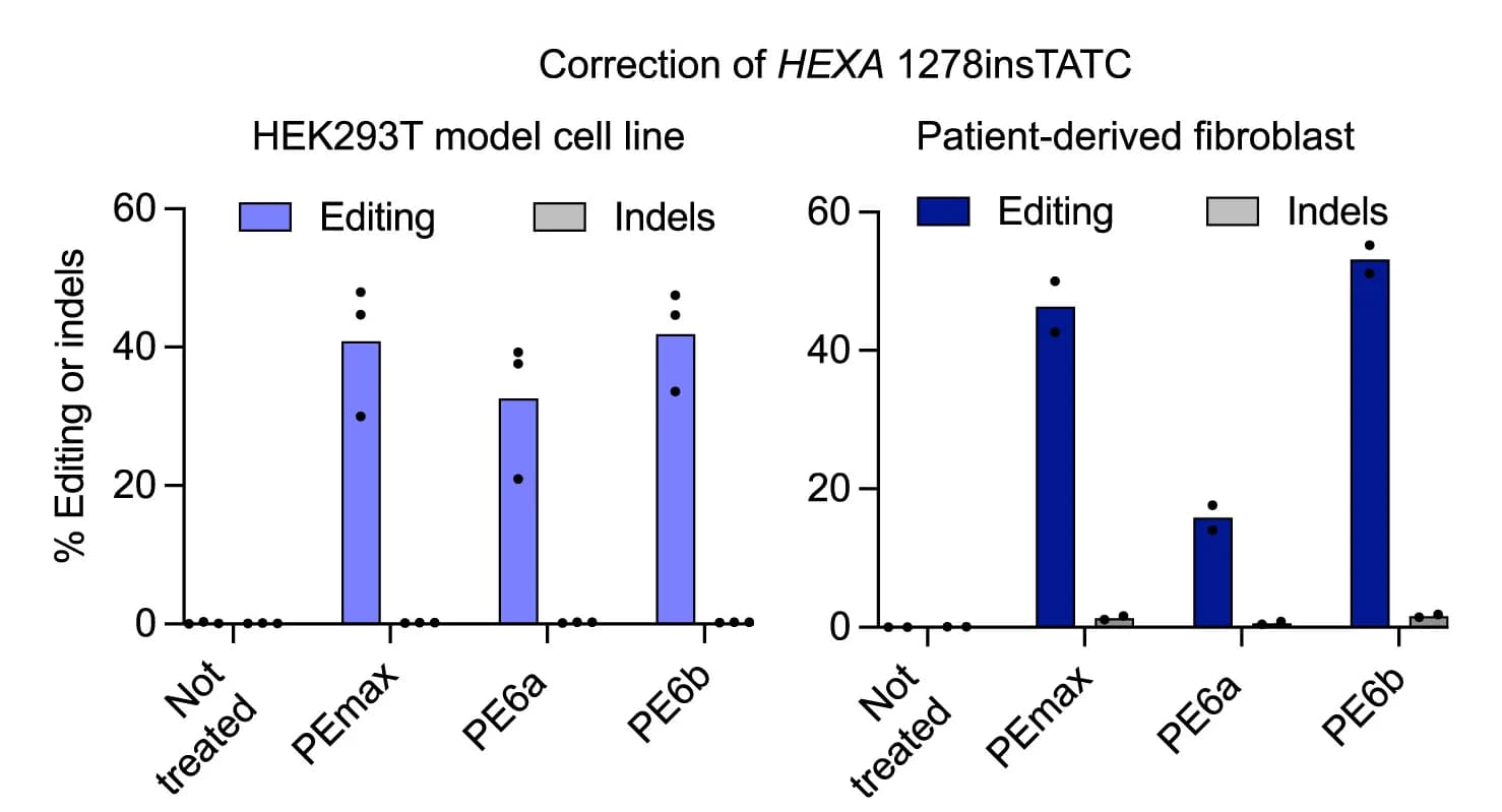 Open access visualization of Bar Plot, HEXA1278insTATC Mutation, Tay-Sachs Disease, HEK293T Cell Line Model, Patient-Derived Fibroblasts