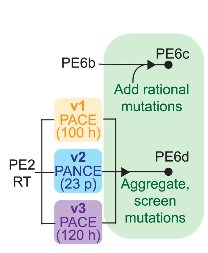 Open access visualization of Workflow, Flowchart, Evolution, Engineering, PE6c