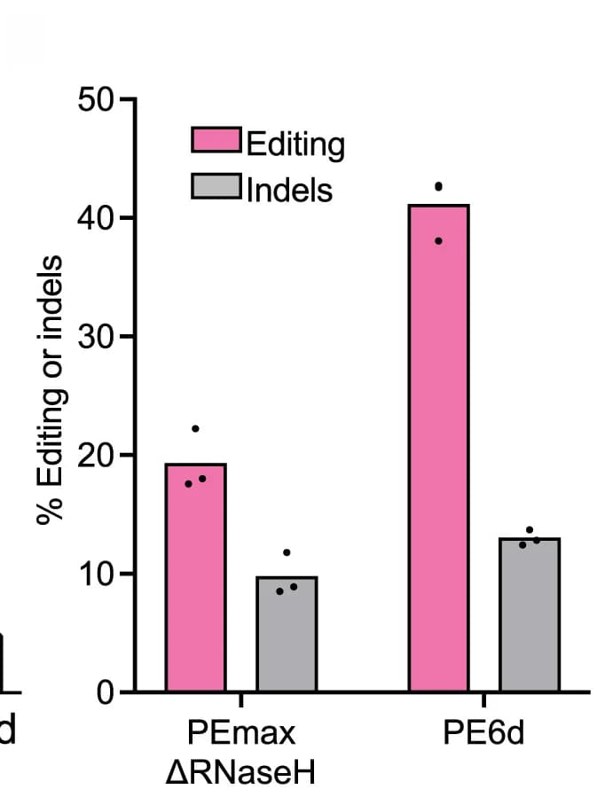 Open access visualization of Bar Plot, PE, 42-bp Sequence, loxP, Dnmt1 locus