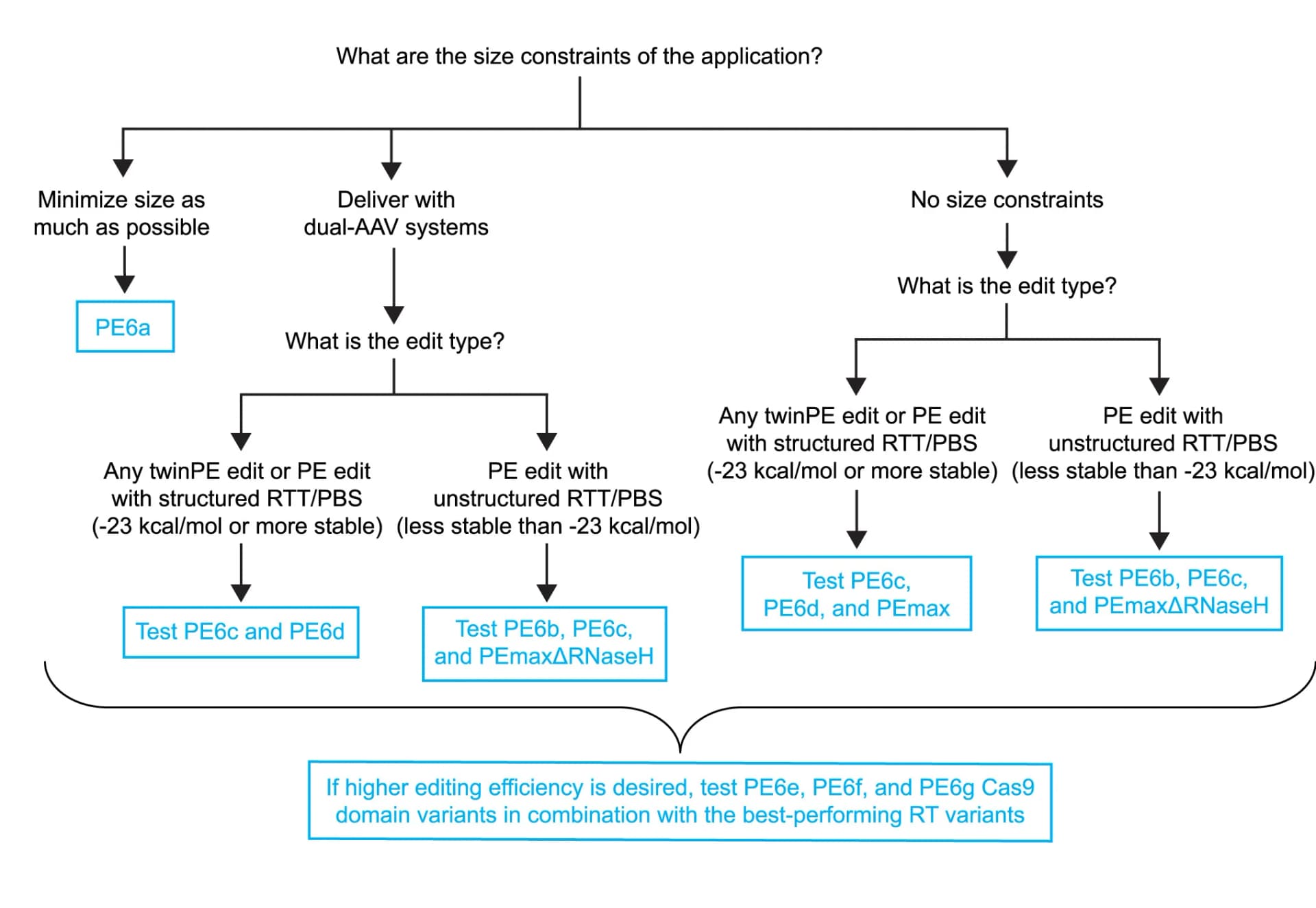Open access visualization of Workflow, Flowchart, PE6 Variant, Decision Tree, Secondary Structure Stability