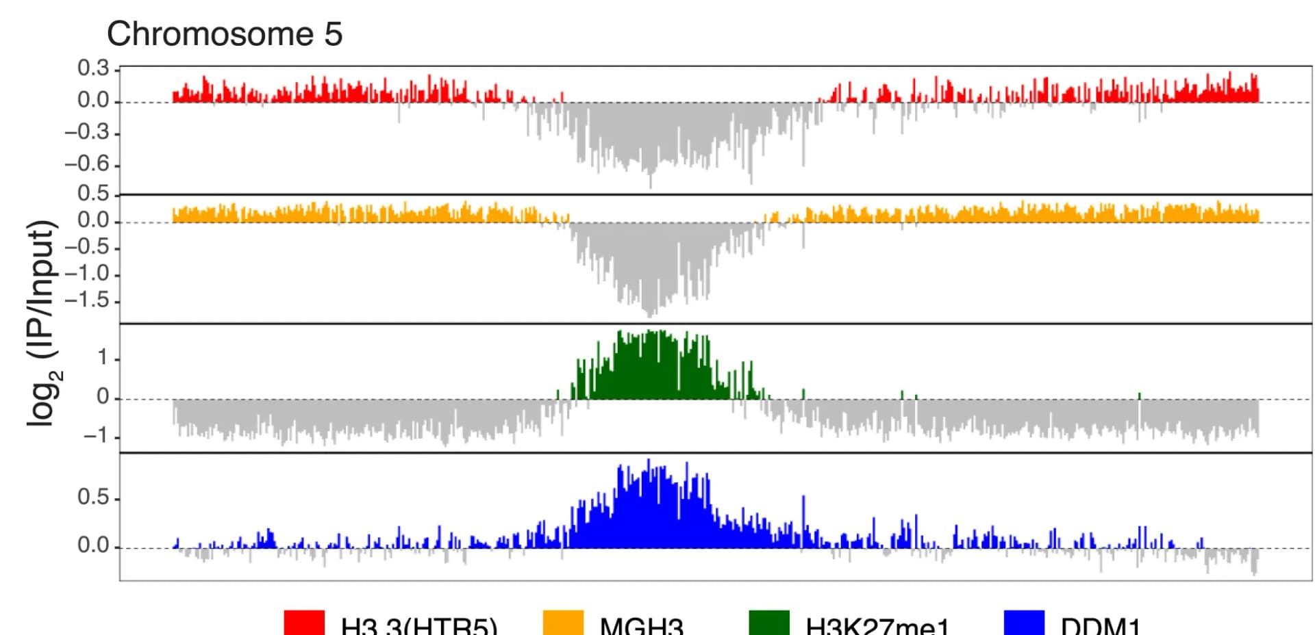Open access visualization of Line Plot, Density Plot, ChIP-seq, Chromosome 5, H3.3