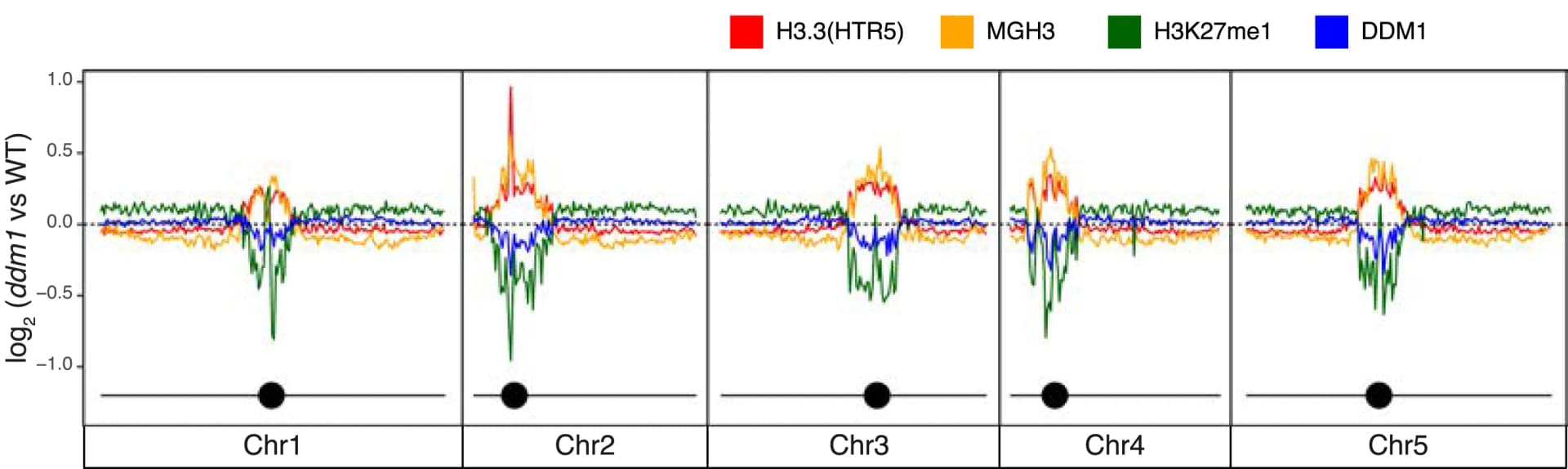 Open access visualization of Line Plot, ChIP-seq, ddm1, Wild Type, H3.3