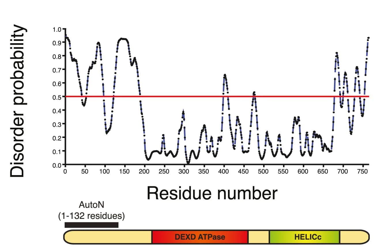 Open access visualization of Line Plot, DDM1, Disorder Prediction, PrDOS95, Autoinhibitory Domain