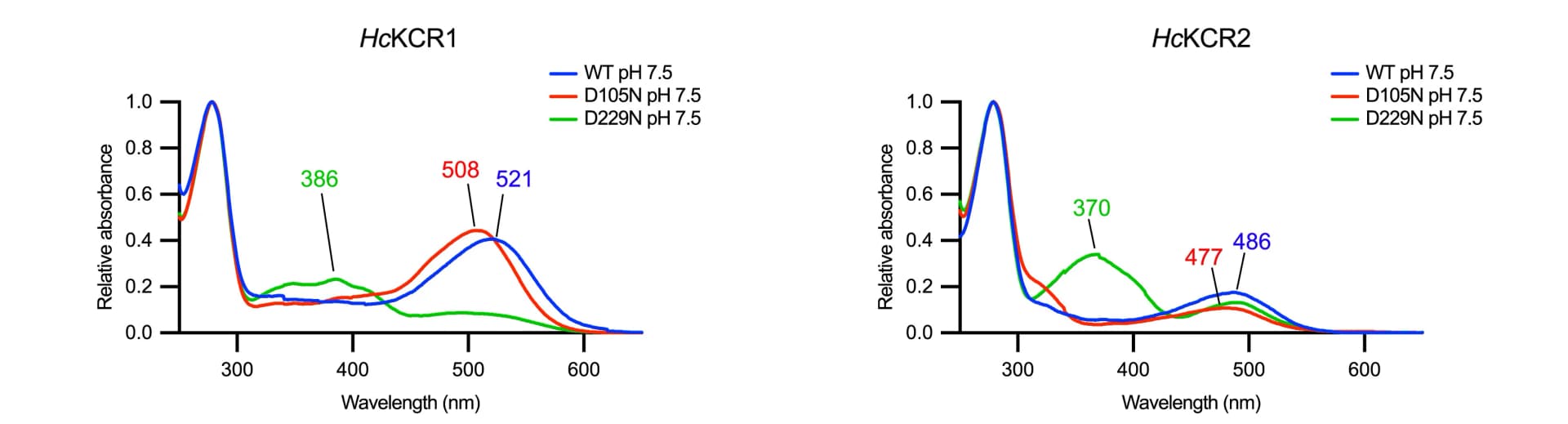Open access visualization of Line Plot, Absorption Spectra, HcKCR1, HcKCR2, pH 7.5
