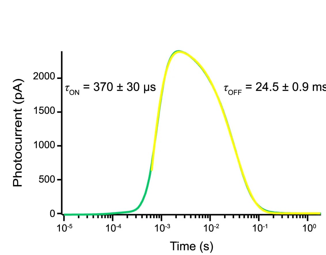 Open access visualization of Line Plot, Transient Photocurrent, HcKCR1, Pulsed Laser, Raw Trace