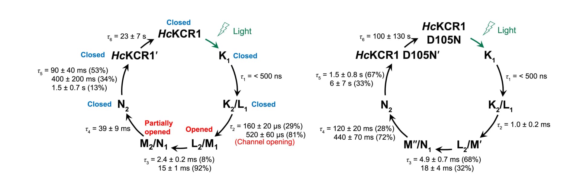 Open access visualization of Workflow, Flowchart, Photocycles, HcKCR1, WT