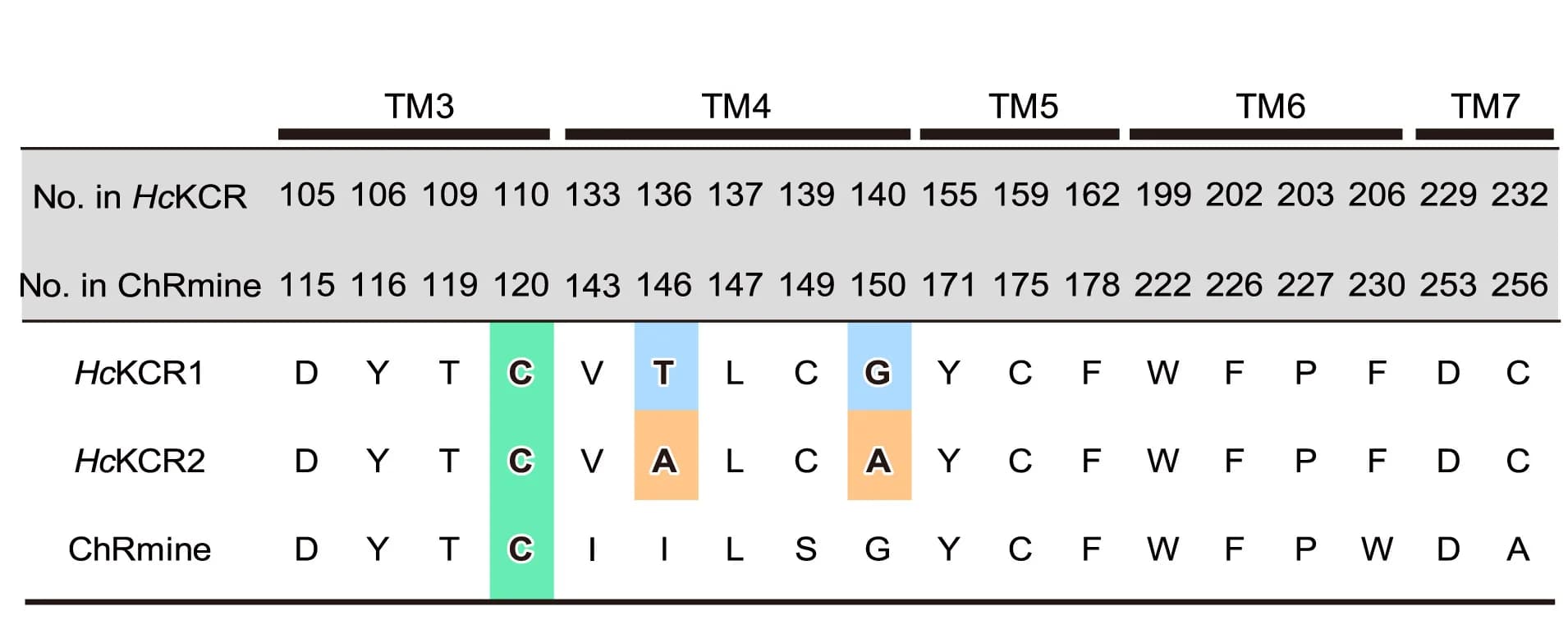 Open access visualization of Table Image, Sequence Alignment, Residues, Retinal Binding Pocket