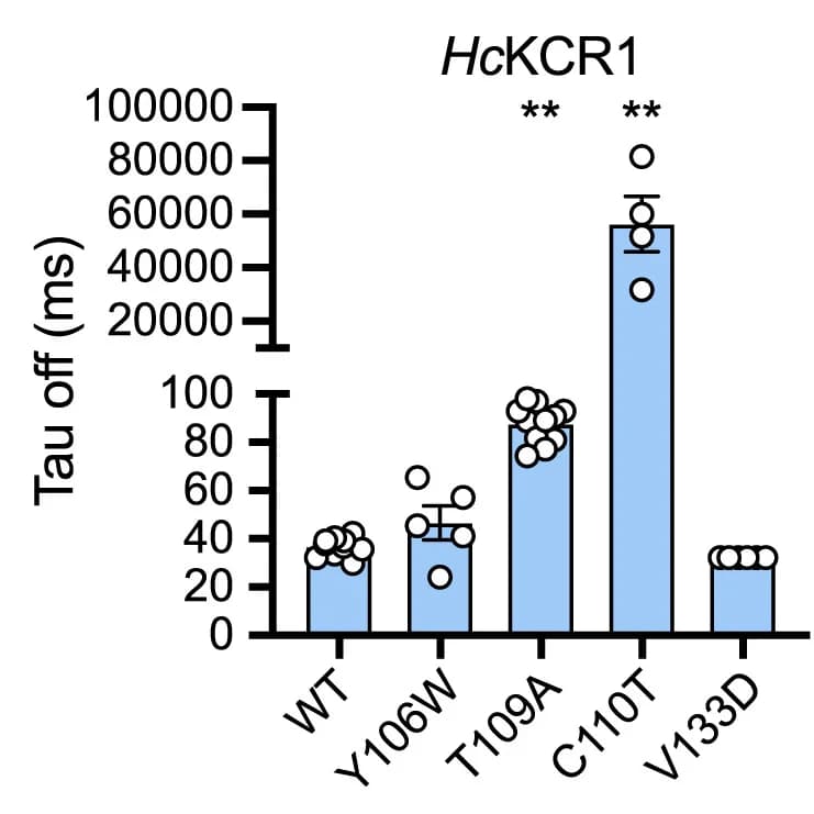 Open access visualization of Bar Plot, Error Bars, Scatter Plot, Toff, HcKCR1