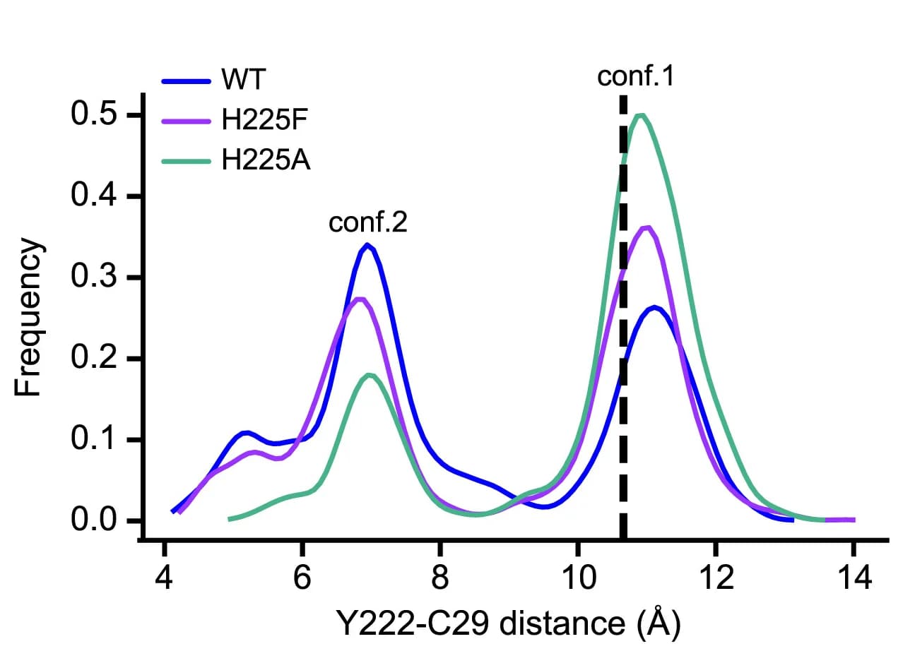 Open access visualization of Line Plot, Density Plot, Histograms, Distances, Y222