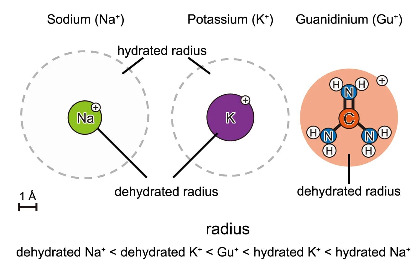 Open access visualization of Illustration, Chemical Structure, Ionic Radii, Hydration Radii, Cations