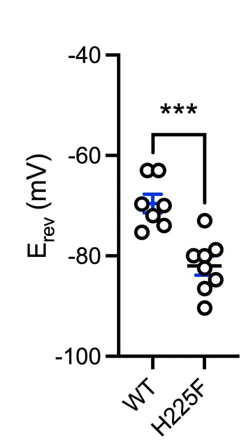 Open access visualization of Scatter Plot, Error Bars, Reversal Potential