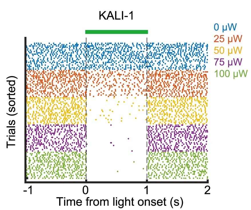 Open access visualization of Scatter Plot, Spike Rasters, Single Units, KALI-1, Moderate Power