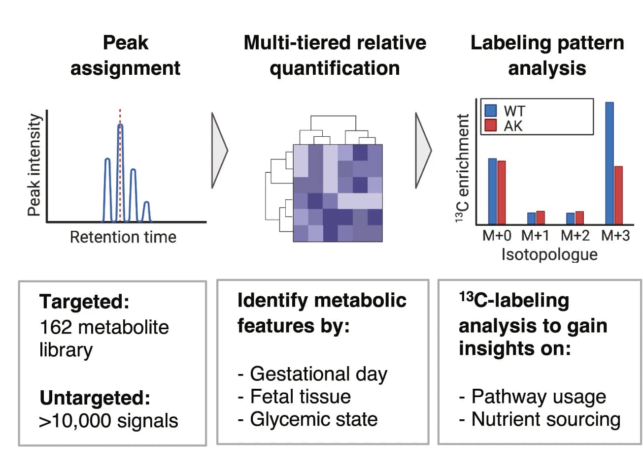 Open access visualization of Workflow, Line Plot, Heatmap, Bar Plot, LC-MS