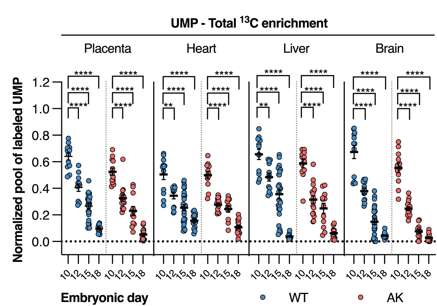 Open access visualization of Scatter Plot, Error Bars, Total 13C-enrichment, UMP, Fetal Tissues