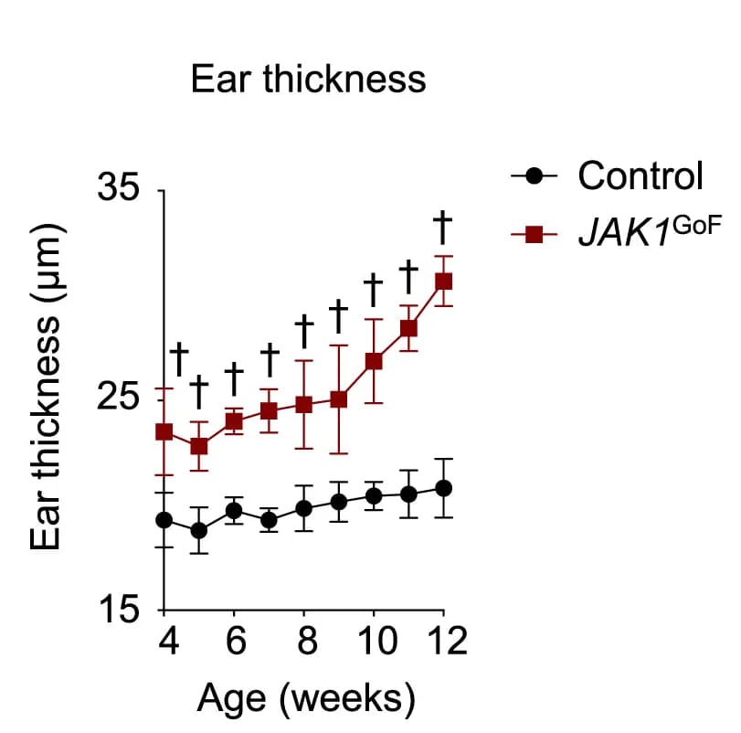 Open access visualization of Line Plot, Error Bars, Ear Thickness, WT Control, JAK1