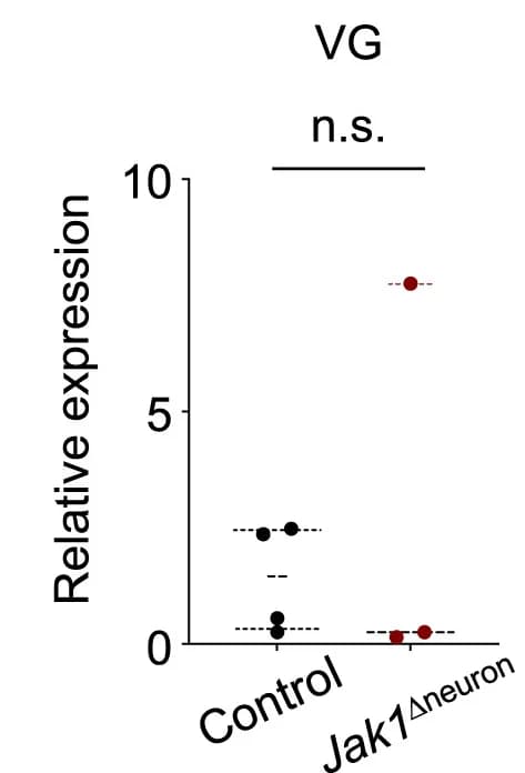 Open access visualization of Scatter Plot, qPCR, Transcripts, VG, DRG