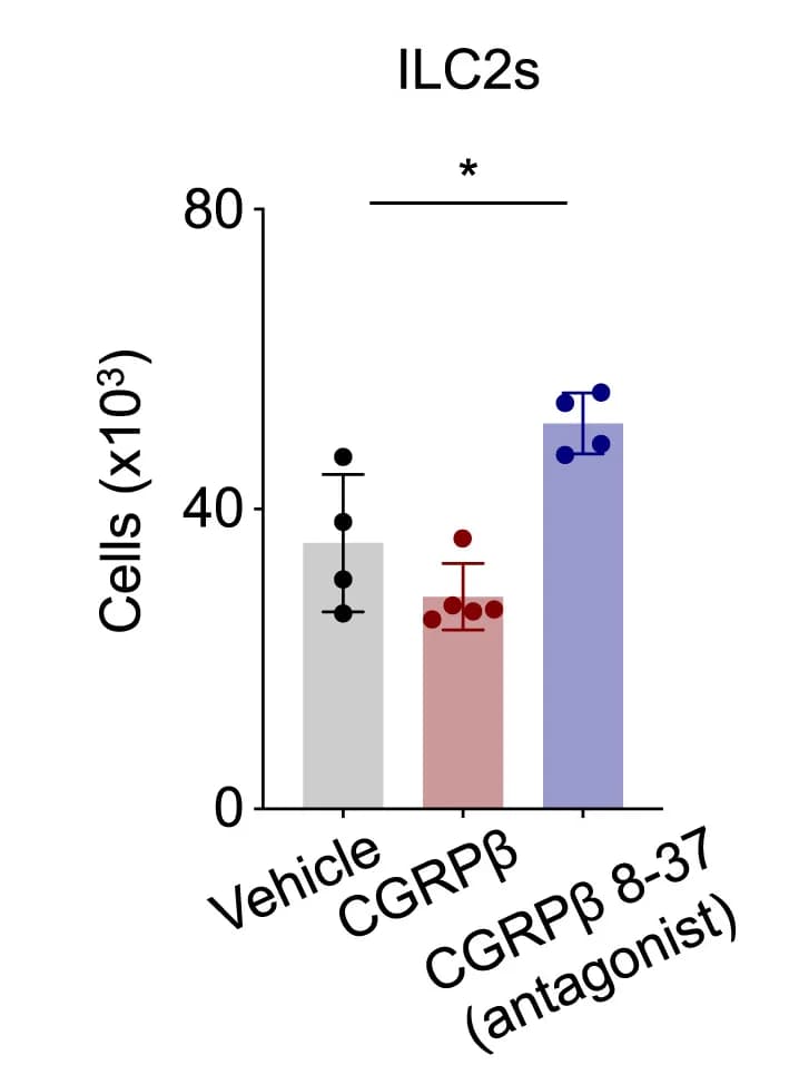 Open access visualization of Bar Plot, Error Bars, Flow Cytometry, Lung Tissue, Rag1−/− Mice