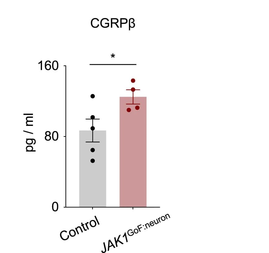 Open access visualization of Bar Plot, Error Bars, Scatter Plot, CGRPβ Protein Levels, Bronchoalveolar Lavage Fluid