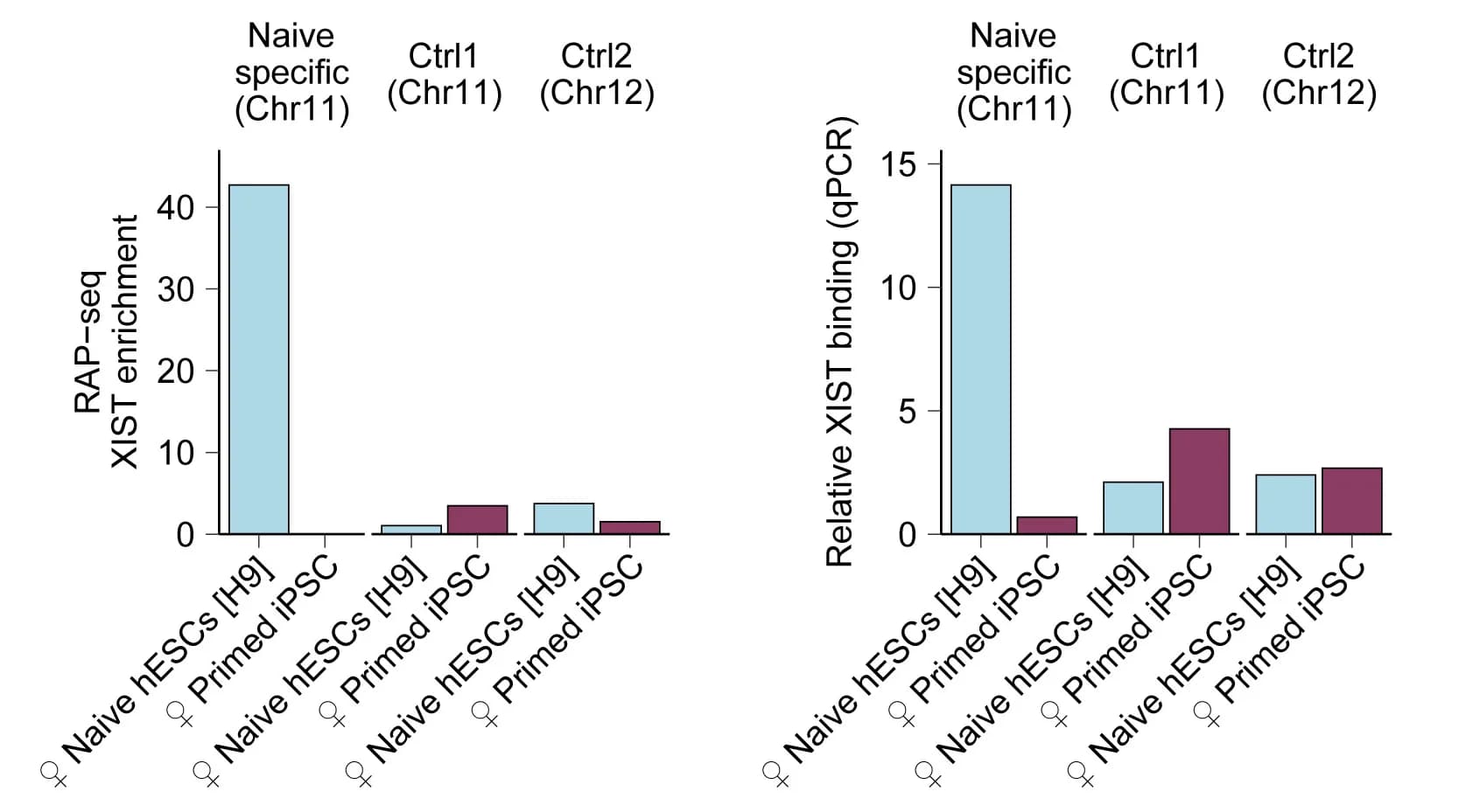 Open access visualization of Bar Plot, Clustered, XIST Enrichment, Cell Lines, hPSC