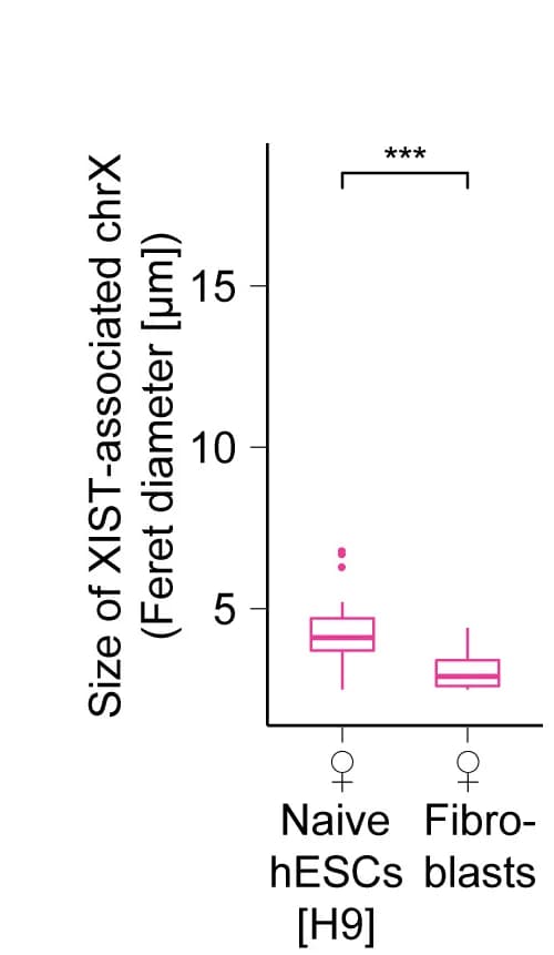 Open access visualization of Box Plot, XIST, chrX, Size Quantification, Wilcoxon p Value
