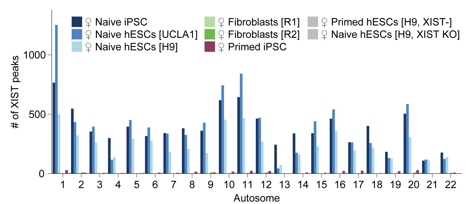 Open access visualization of Bar Plot, Clustered, XIST Peaks, Autosome, Cell Lines