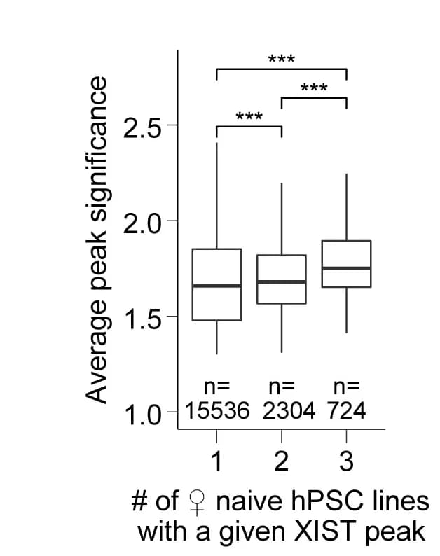Open access visualization of Box Plot, hPSCs, Autosomal XIST Peaks, Significance, Wilcoxon p Value