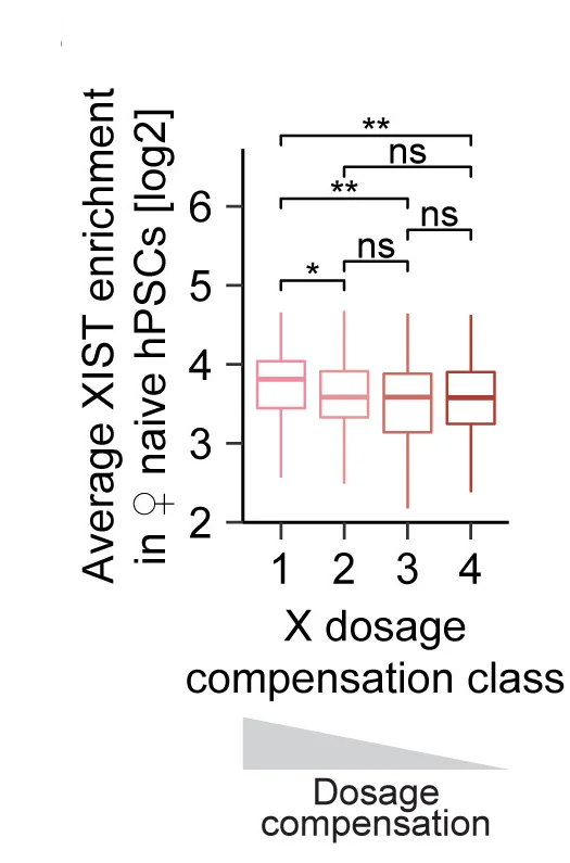 Open access visualization of Box Plot, XIST Enrichment, Transcriptional Start Site, X-Dosage Compensation, Wilcoxon P Values