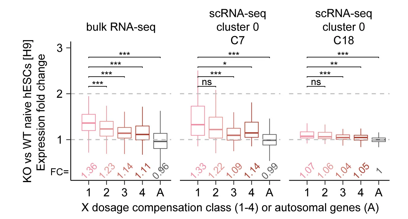 Open access visualization of Box Plot, Expression FC, Naive KO Cells, WT Cells, X-linked Genes