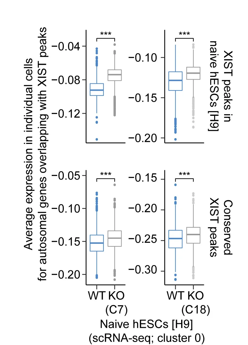 Open access visualization of Violin Plot, Box Plot, Scatter Plot, Normalized Average Expression, Autosomal Genes
