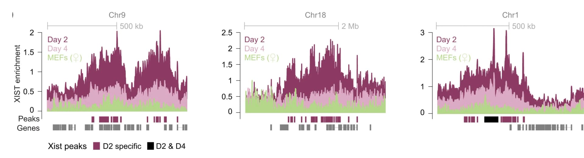 Open access visualization of Line Plot, Density Plot, Xist Enrichment, Xist Peaks, Autosomal Regions