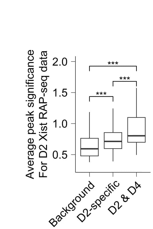 Open access visualization of Box Plot, Significance, Autosomal Xist Peaks, RAP-seq