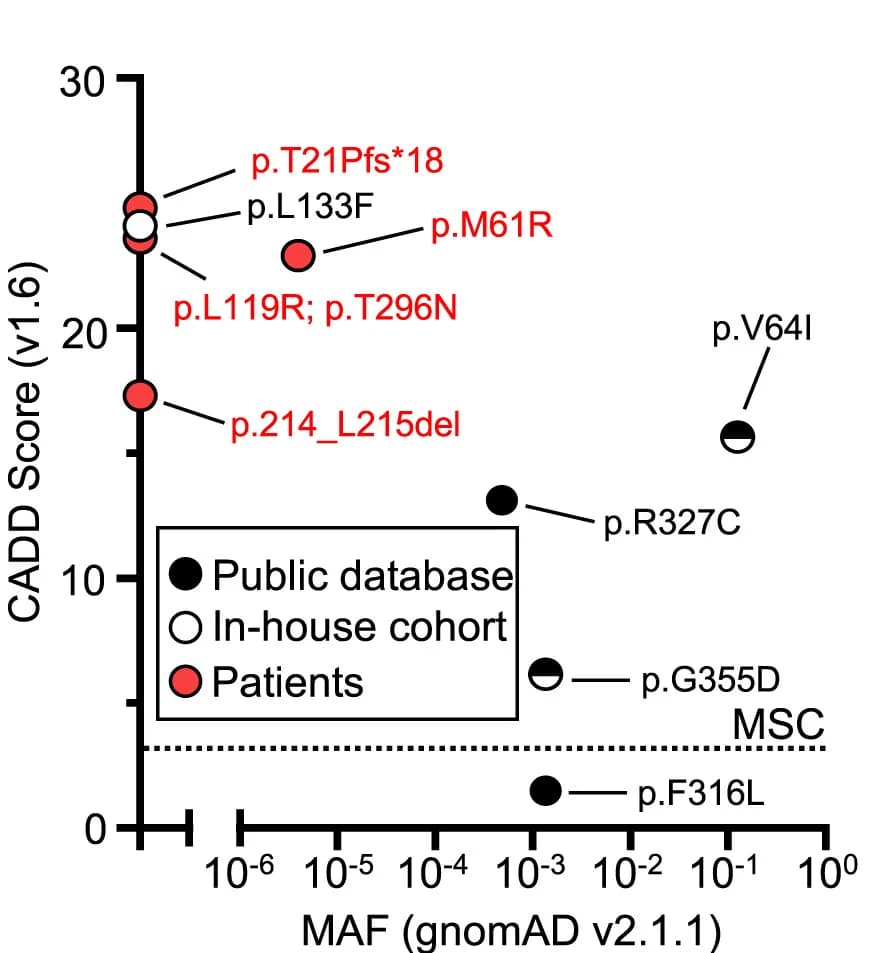 Open access visualization of Scatter Plot, CADD MAF Plot, CCR2 Variants, Patients, In-House Cohort