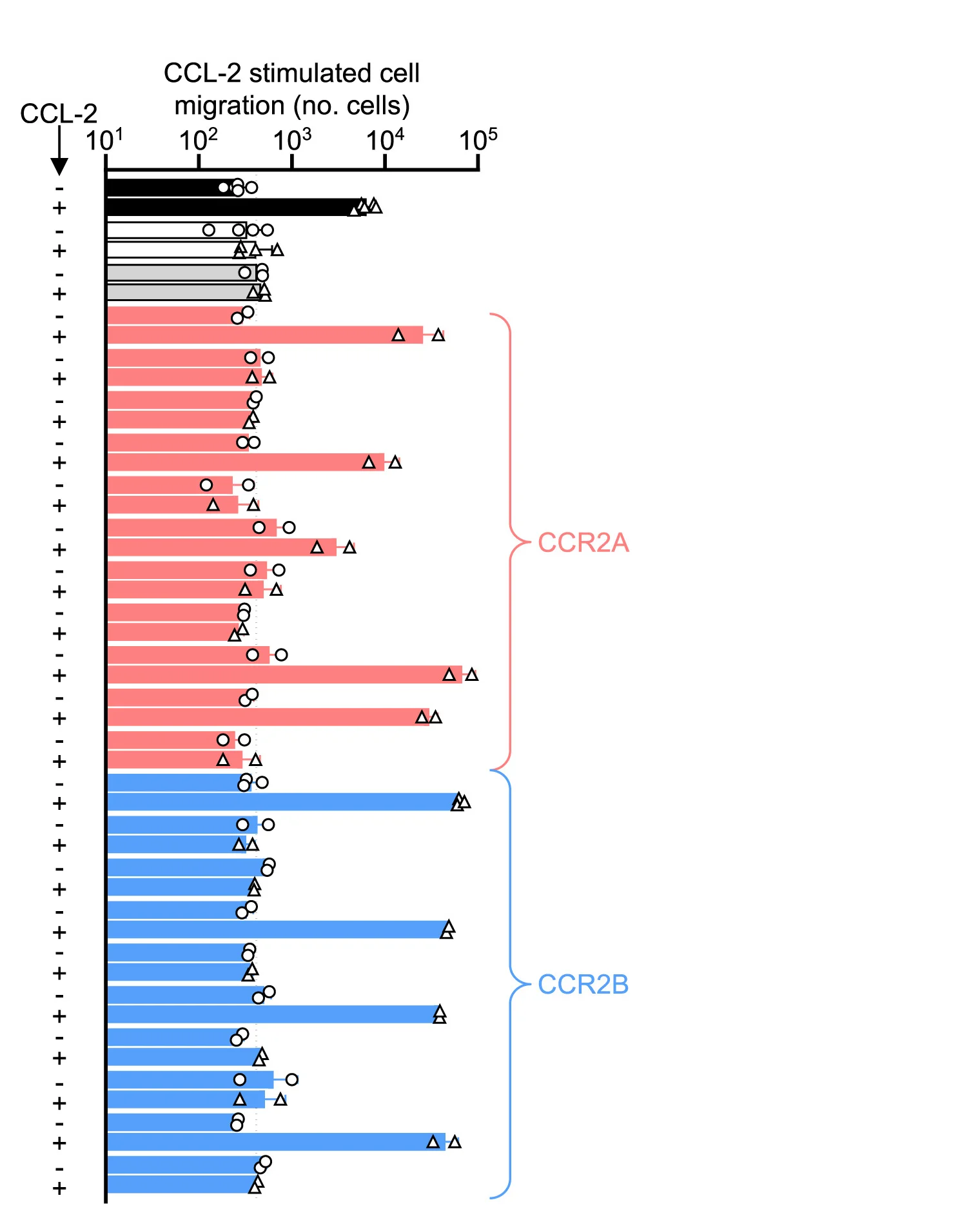 Open access visualization of Bar Plot, Scatter Plot, Migration, THP-1 CCR2KO, CCL-2