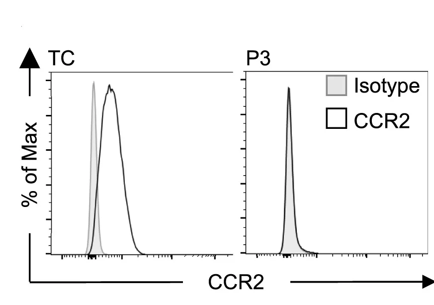 Open access visualization of Line Plot, Density Plot, Plots, CCR2 Expression, Monocyte Subsets