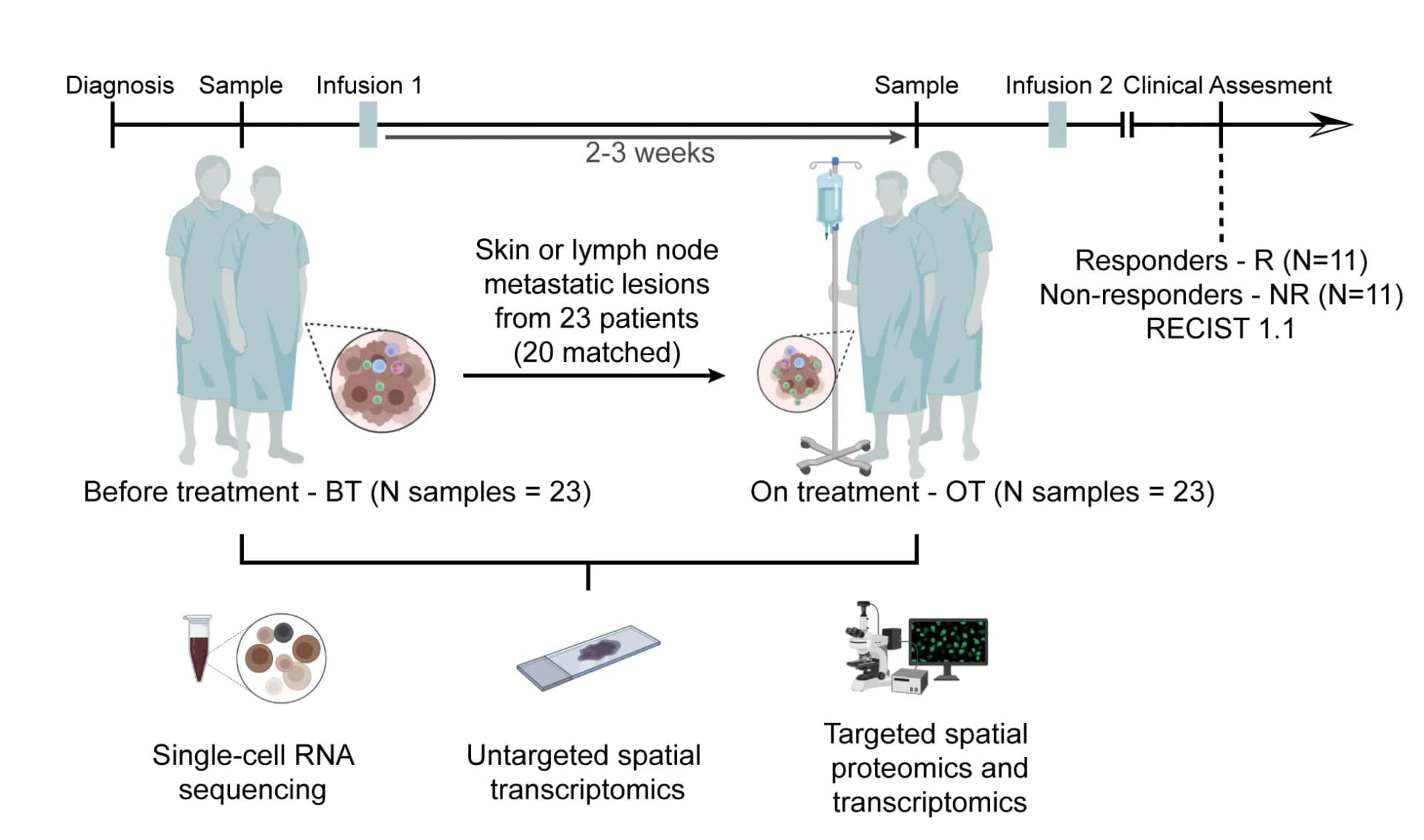 Open access visualization of Workflow, Illustration, Sample Collection, Patients, Methodologies