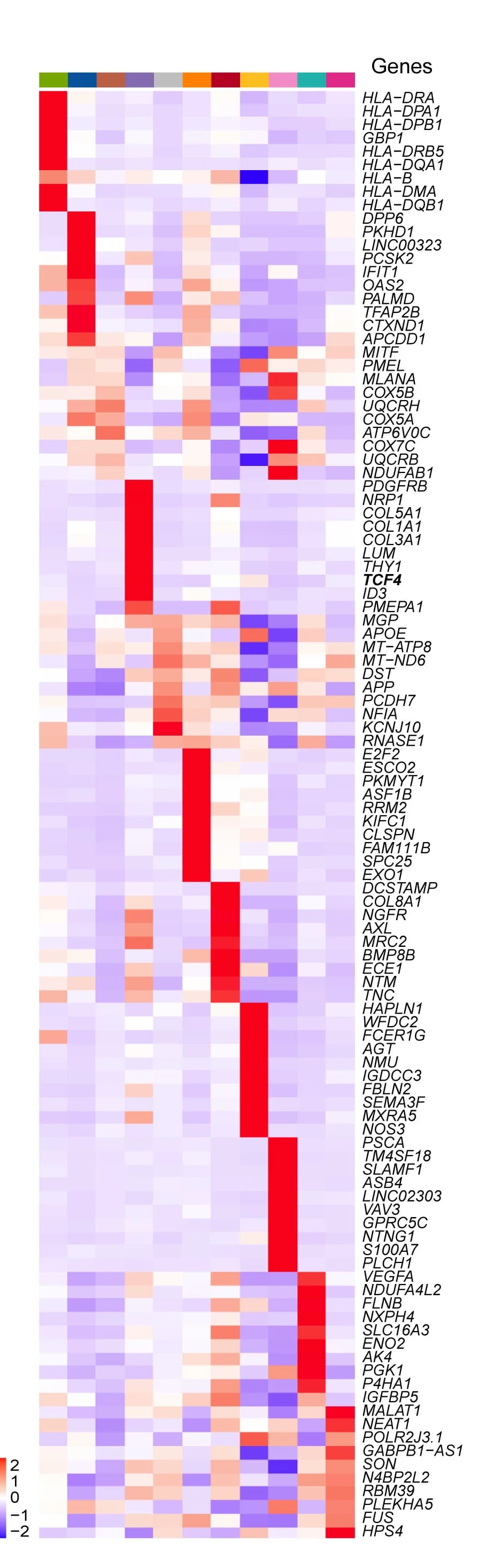 Open access visualization of Heatmap, Differentially Expressed Genes, Marker Genes, Malignant Cell States